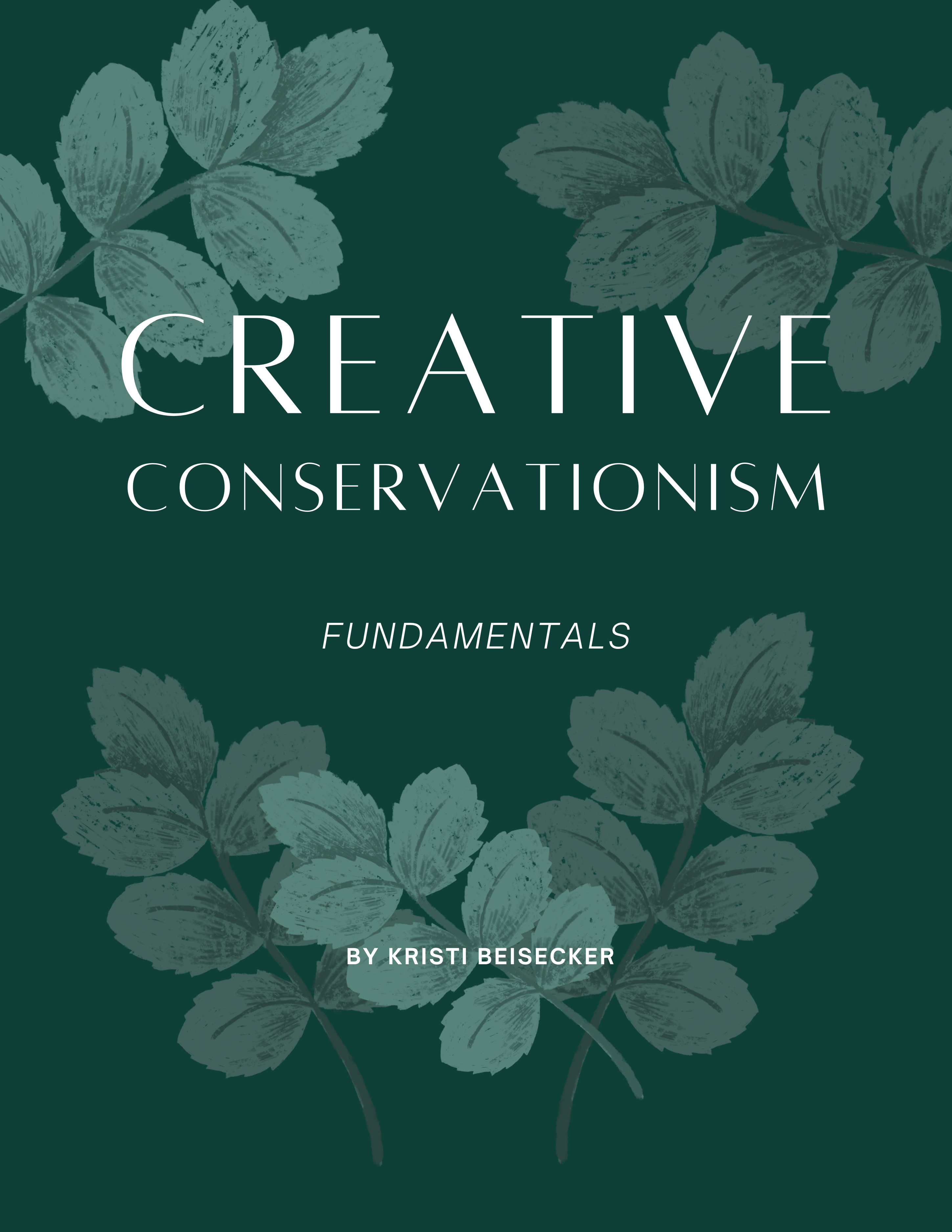 Creative Conservationism Fundamentals
